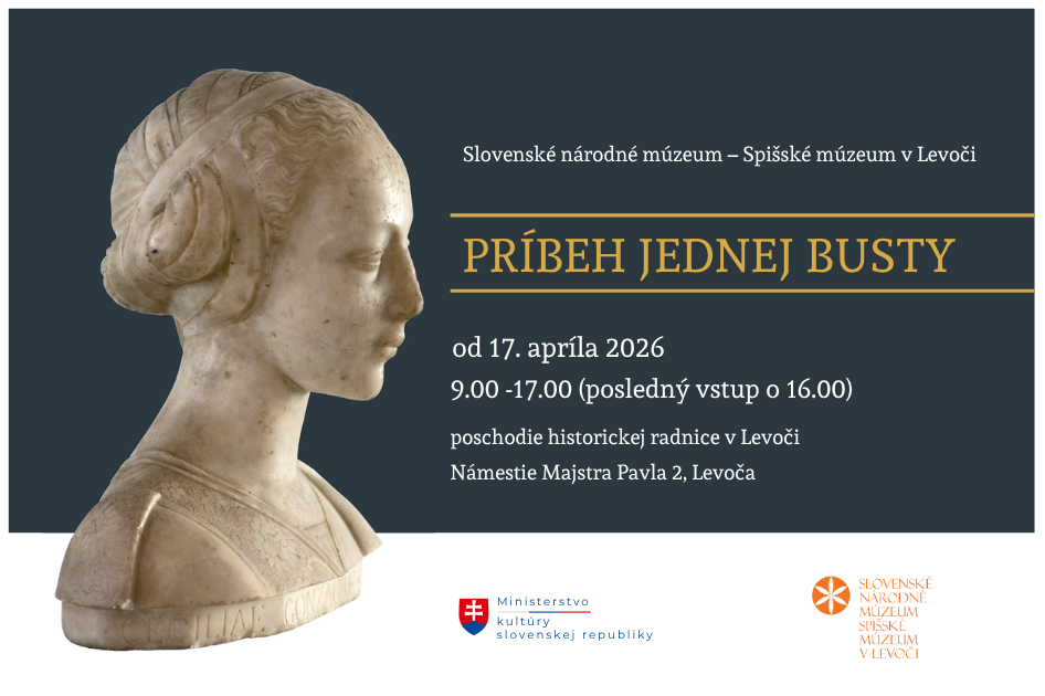 PRÍBEH JEDNEJ BUSTY